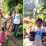 Projeto Remoma – Morro da Matriz – São Gonçalo