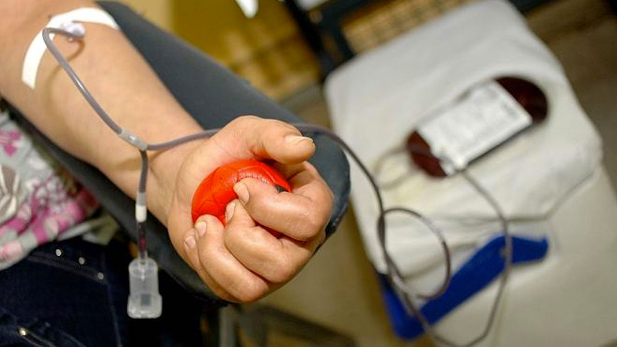São Gonçalo doação de sangue