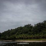 Entre o Gradim e Itaoca