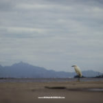 Entre o Gradim e Itaoca