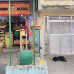O cão Coceirinha e a mercearia do Careca
