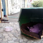 A casa criada pela Mercearia do Careca para ser o lar do cão Coceirinha.