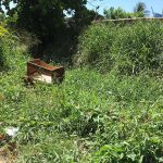 2017-12-13-porto-novo-rio-marimbondo-caixote