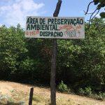 Placa avisando que ali é “Área de Preservação Ambiental” e que não devemos jogar lixo