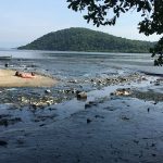 Córrego que sai do manguezal em direção ao mar